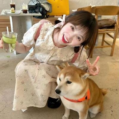 独家童话